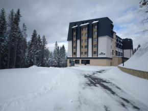 Zlatni Javor, Apartment 408